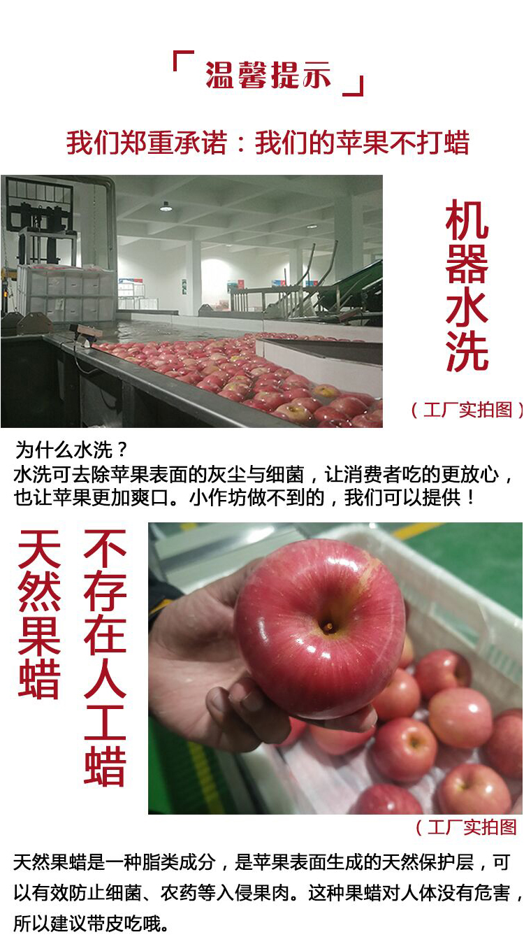 山(shān)東(dōng)黃(huáng)金(jīn)奶油富士