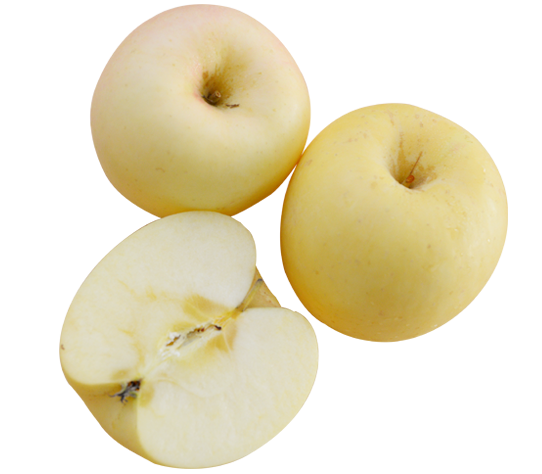 悅多(duō)果業(yè)